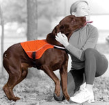 Kurgo Reflect and Protect Active Dog Vest, Orange, XS,Small,Medium XL