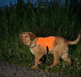 Kurgo Reflect and Protect Active Dog Vest, Orange, XS,Small,Medium XL