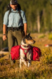 Ruffwear Palisades Dog Pack  Large/X-Large